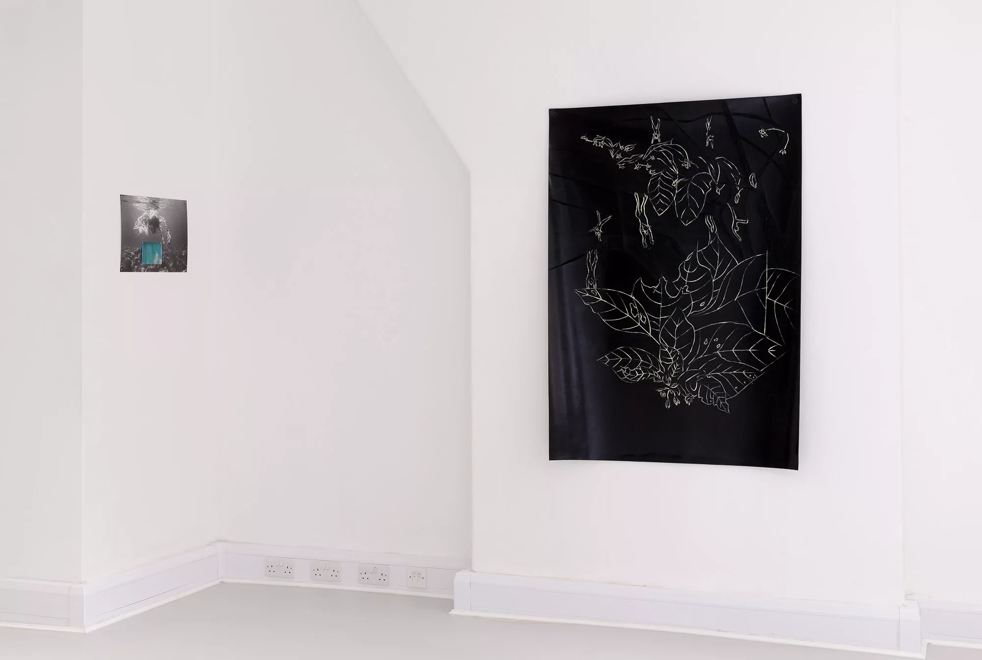 Gaia Fugazza - Growing Gills - Gaia Fugazza - Growing Gills - Growing Gills, group exhibition at Mimosa House London, 2017