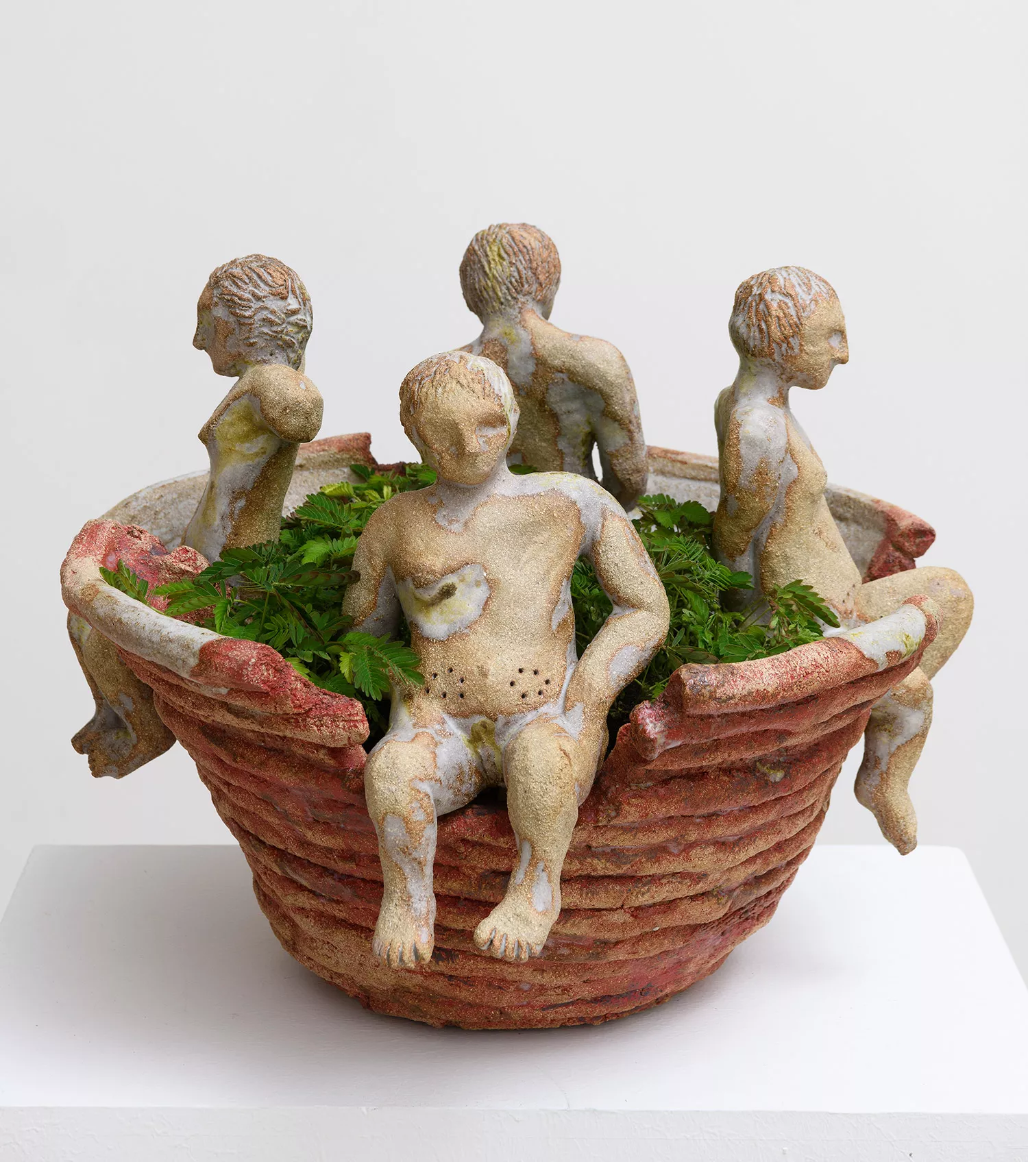Gaia Fugazza - Vases for - Gaia Fugazza - Vases for - Vase for Mimosa Pudica, 2023 Stoneware ceramic, mimosa pudica plant, soil, 42 × 42 × 30 cm
