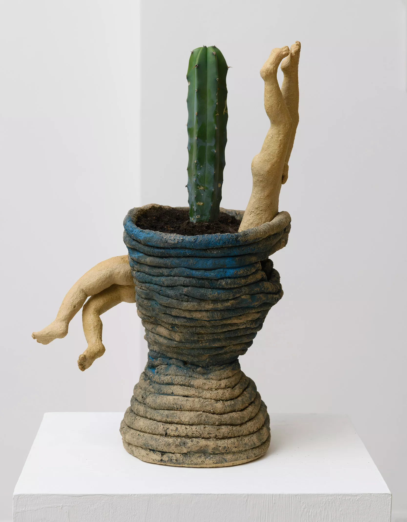 Gaia Fugazza - Vases for - Gaia Fugazza - Vases for - Vase for San Pedro, 2025 Stoneware ceramic, San Pedro plant, soil, 30 × 60 × 26 cm  (unfortunately photographed with a Myrtillocactus)