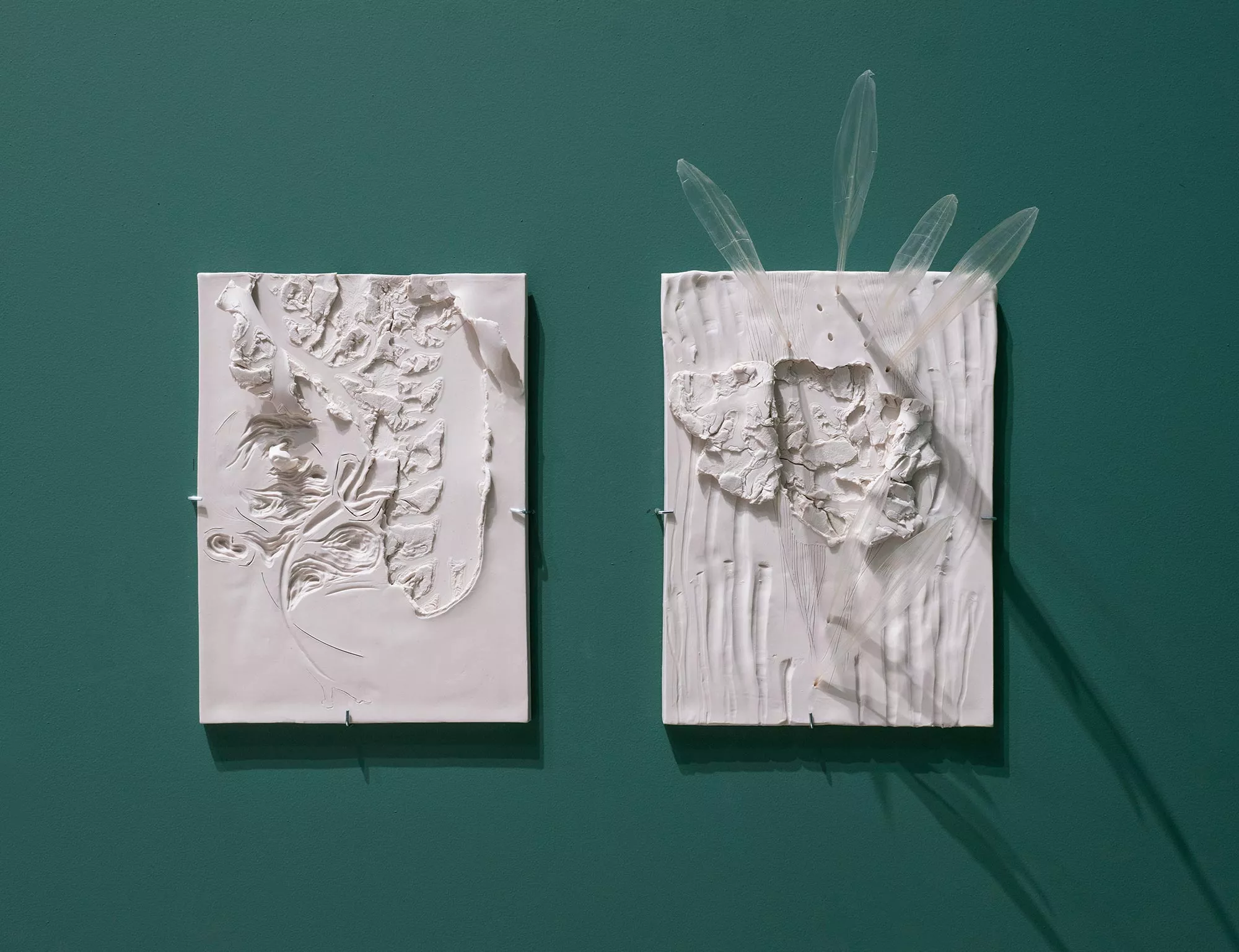 Gaia Fugazza - Gaia Fugazza, Lungs, 2025, porcelain bas-relief with squid bones.